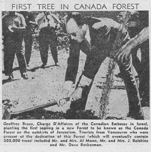 1st tree planted in Canada Forest