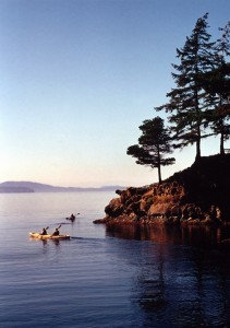 photo - Kayaking in Wildcat Cove provides a close-up view of the life in the beautiful bay.