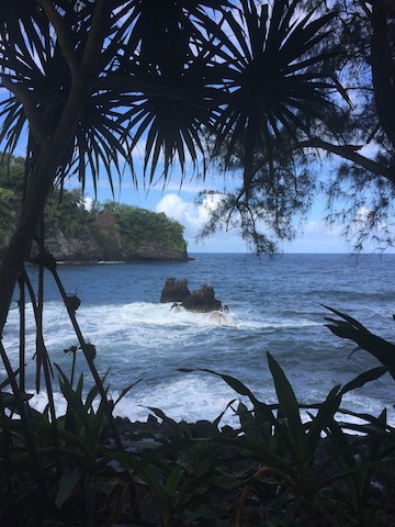 photo - Hawaii - ocean