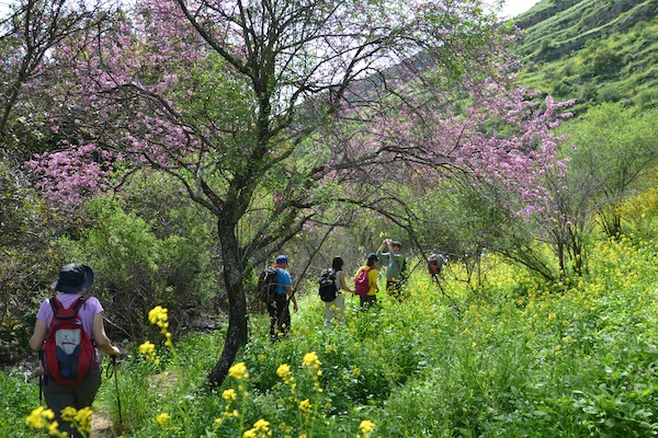 photo - Monthly hikes are one of the many activities offered by the English Speakers Residents Association