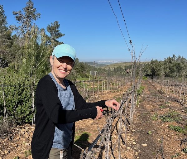 photo - Vancouverite Gail Mattuck volunteering in Israel after Oct. 7. She found her placements with the help of the Sword of Iron – Israel Volunteer Opportunities Facebook group