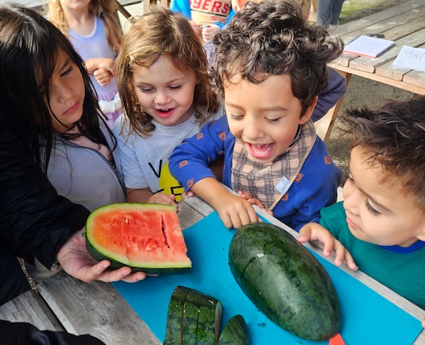 Growing a garden together